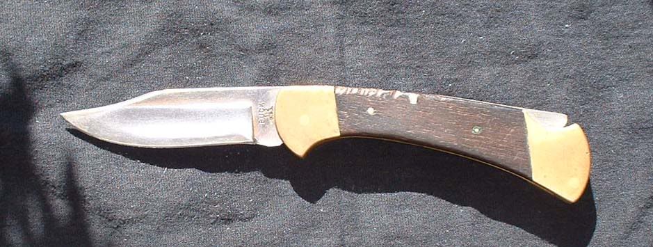 buck02.jpg