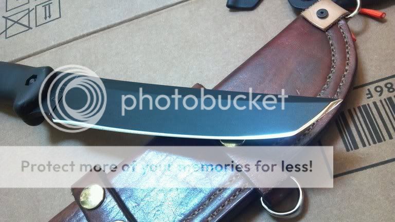 photobucket-3296-1332809694330.jpg