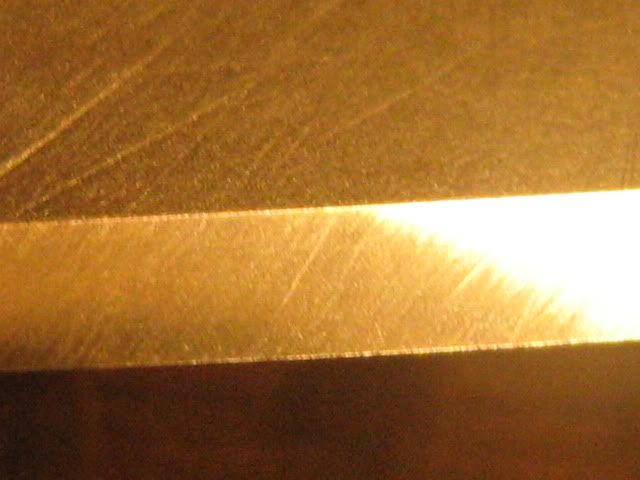 Picture1484.jpg