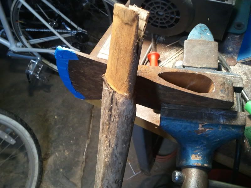 2012-11-29012536.jpg