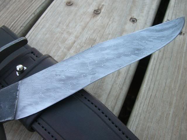 CIMG2803.jpg