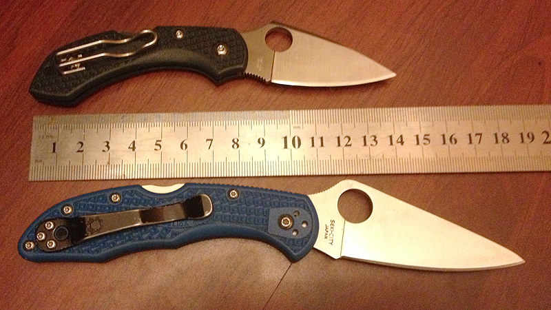 Dragonfly_Delica_ruler.jpg
