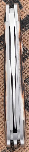 rbose-458staganglosaxonwhittler3-7.jpg