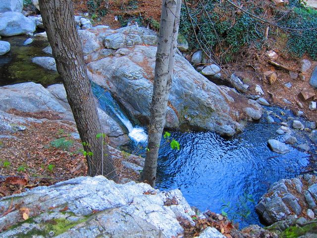 IMG_6035.jpg
