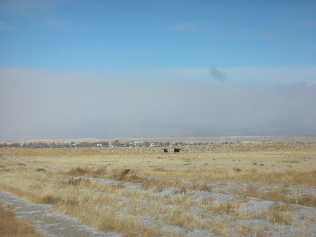 DSCN0624.jpg