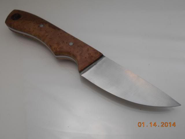 DSCN0673.jpg