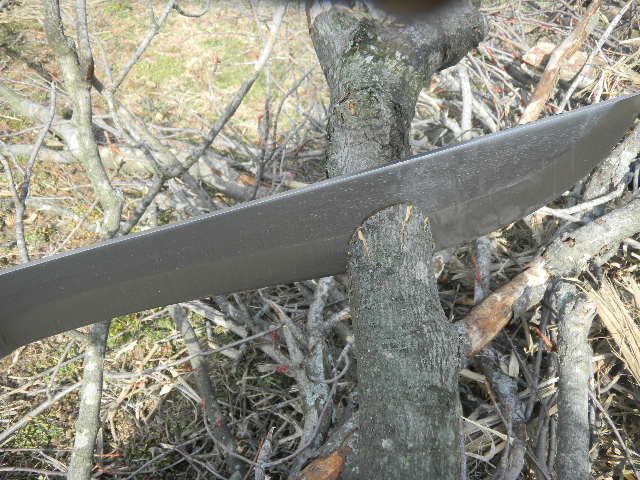 DSCN0422.jpg