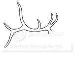 plainhornsforlogo.jpg