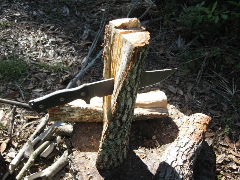 TreeNov2005022.jpg