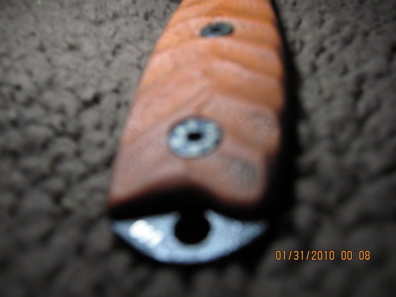 IMG_0585.jpg