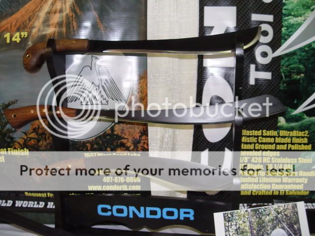 DSC09317.jpg