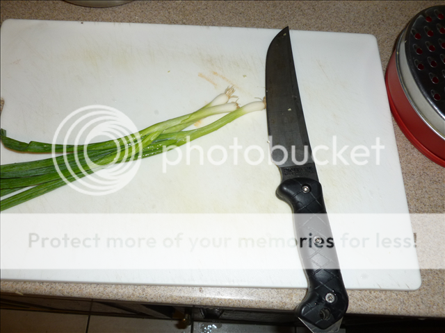 P1010022-resized_zpsba863bfe.png