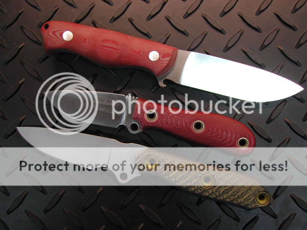 DSCN3318.jpg