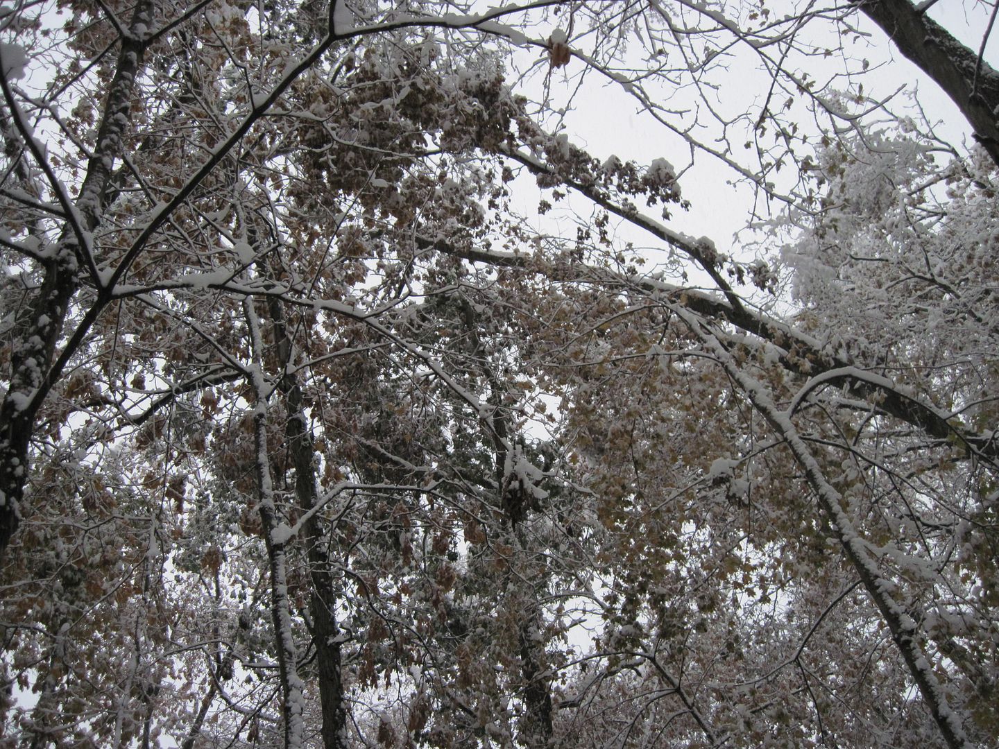 IMG_0215.jpg