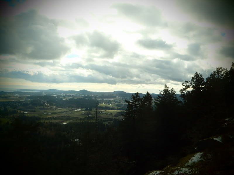 P3010008.jpg