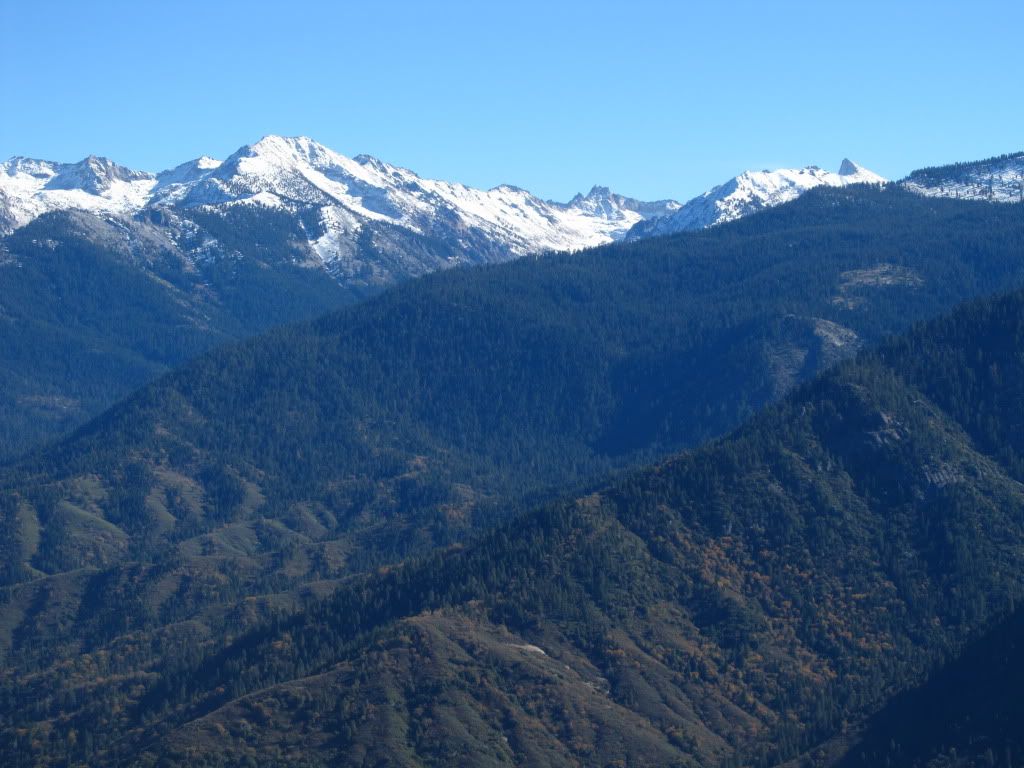 IMG_3401.jpg