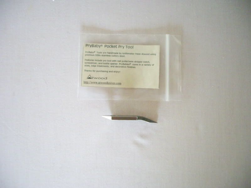 IMGP3301.jpg
