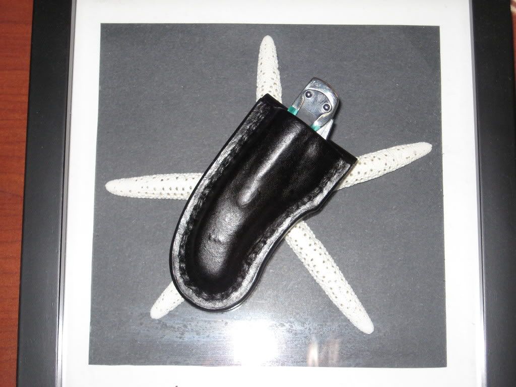 CaseSheath002.jpg