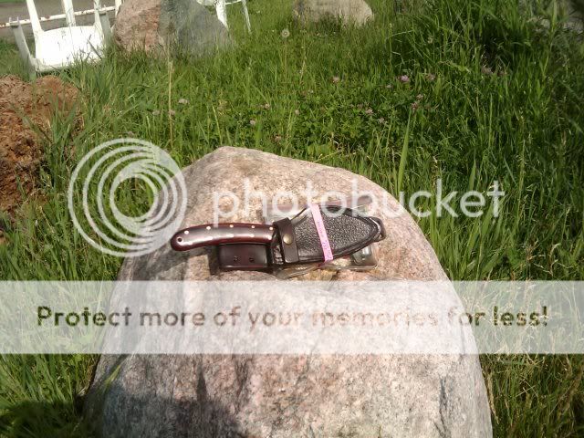 2009-06-19201711622.jpg