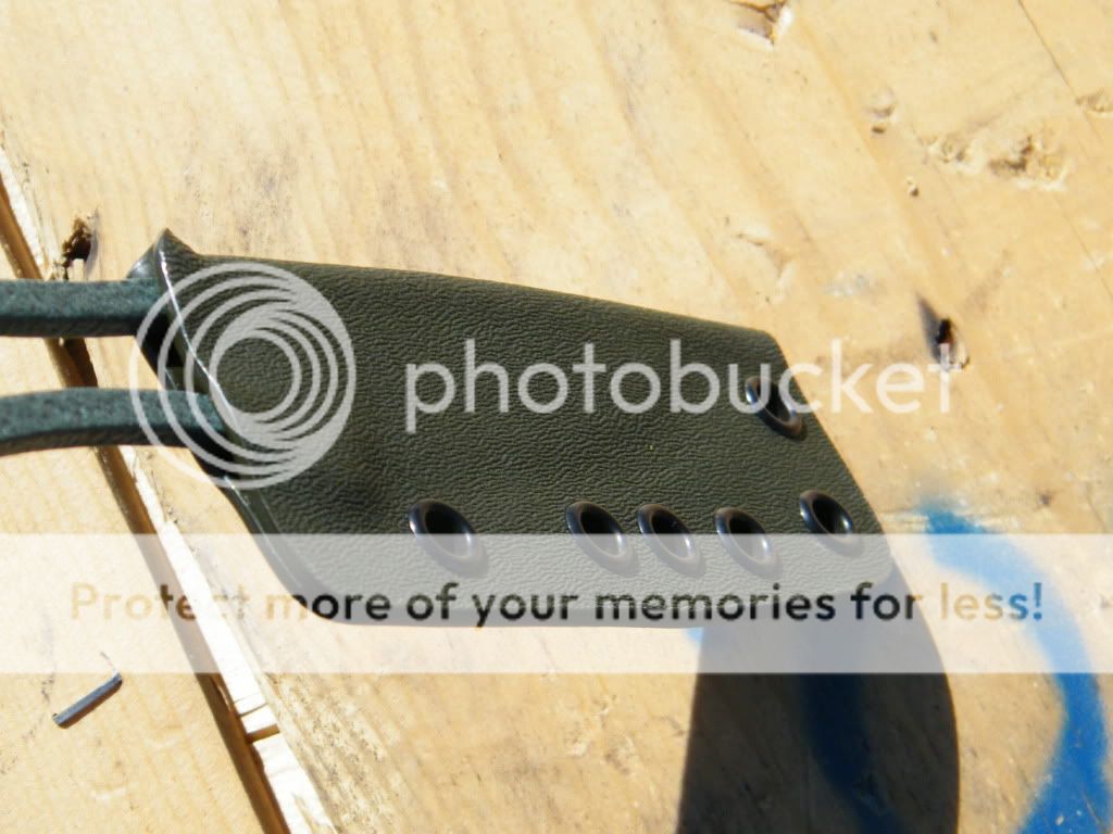 DSCF2808.jpg