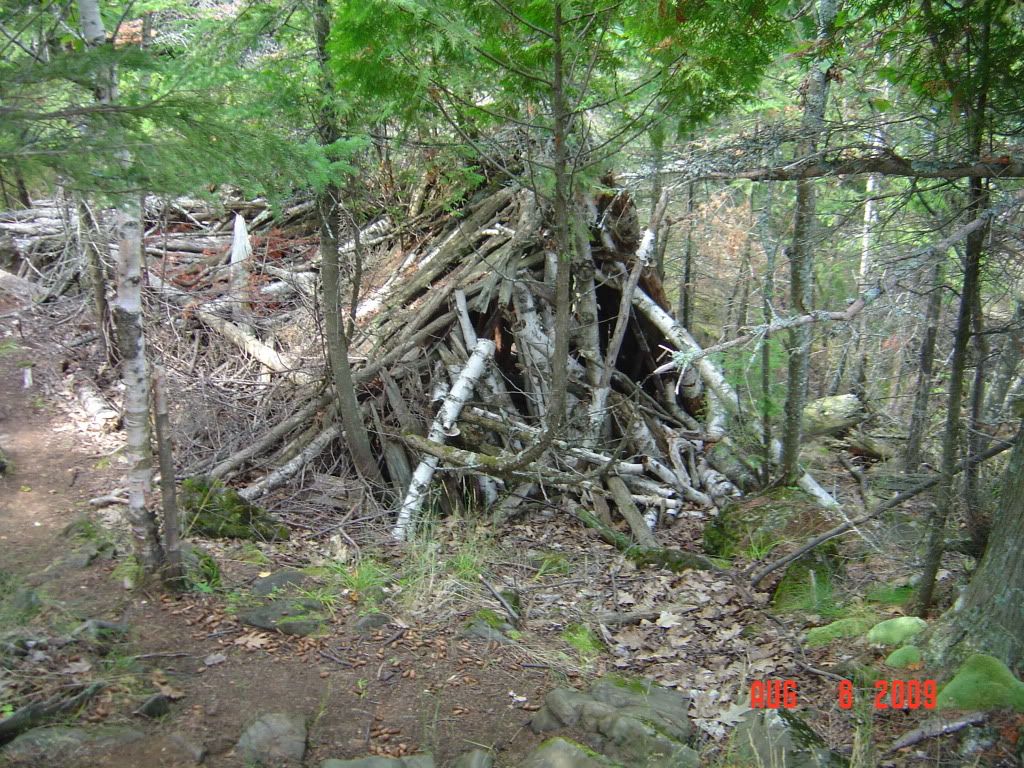 DSC01419.jpg