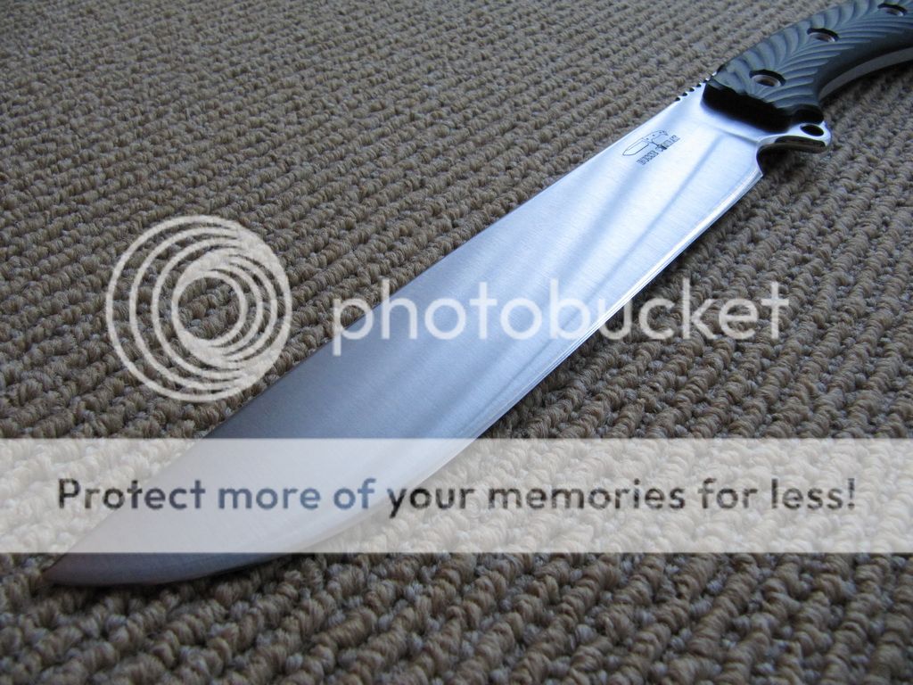 IMG_5461.jpg