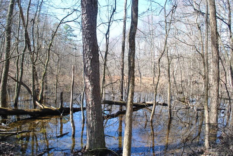 DSC_9248.jpg