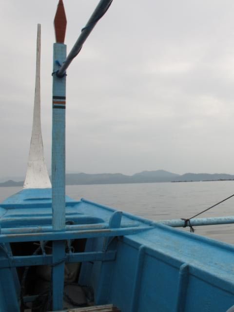 IMG_7427.jpg