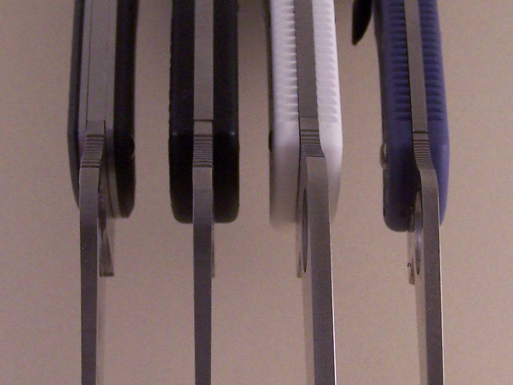 spine_shot_001.jpg