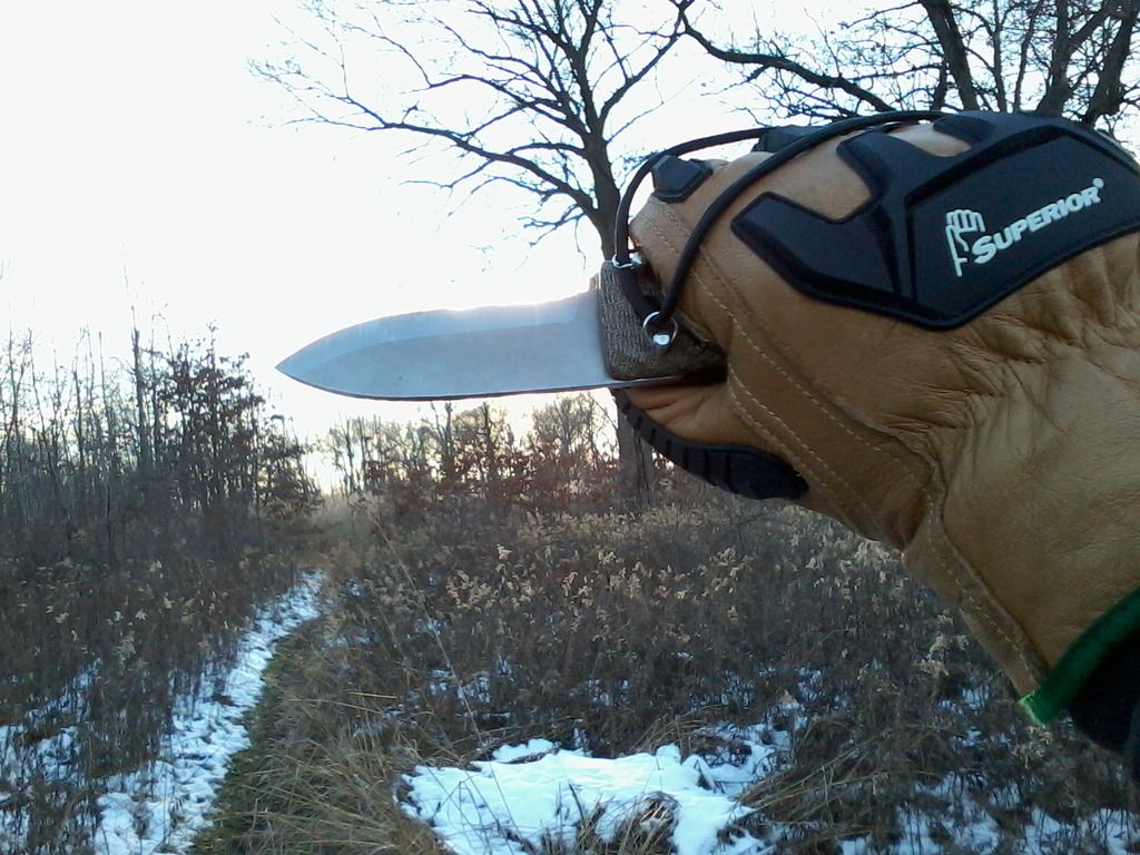 Photo0211_zpsfoo8b5xr.jpg