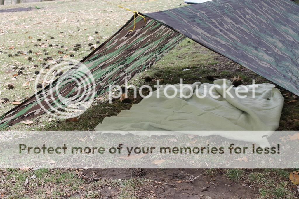 IMG_2486_zps6881d700.jpg