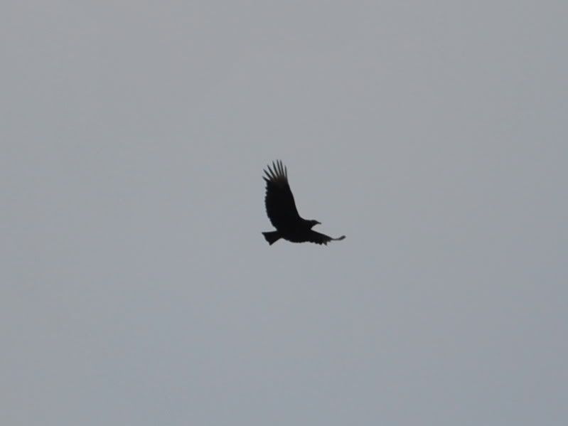 DSC_5675.jpg