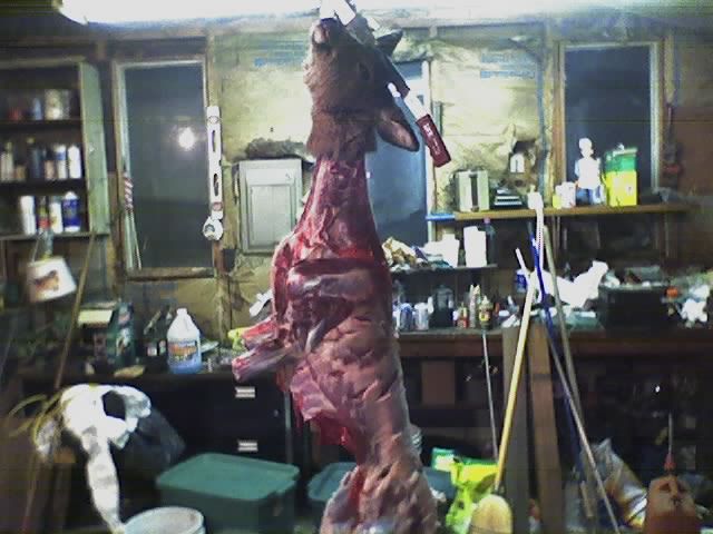 11-12-05_1909.jpg