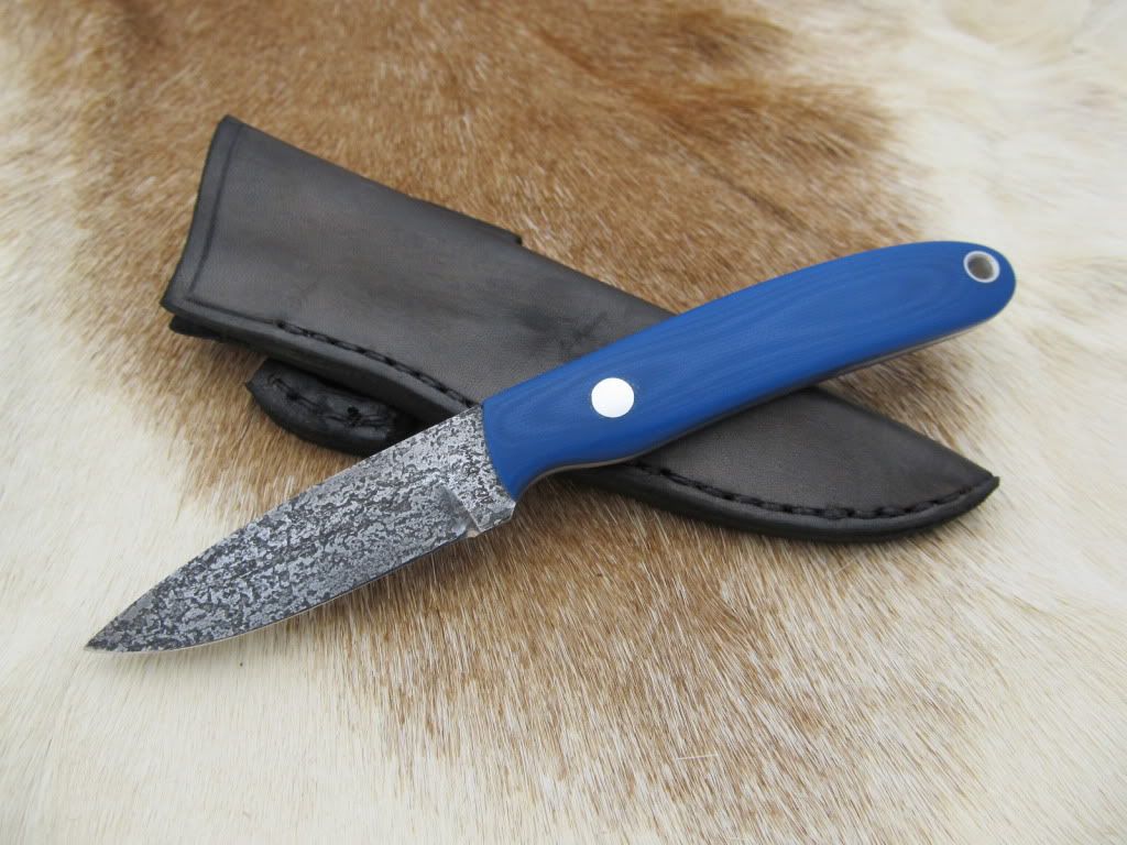Blueg10edc002.jpg