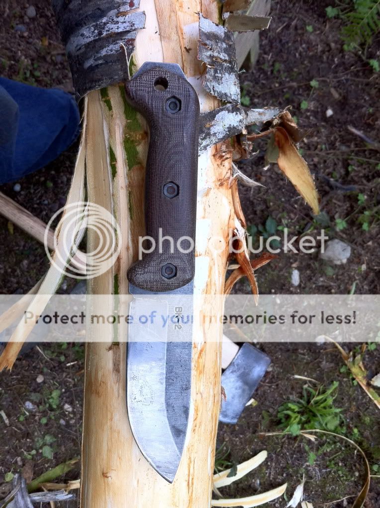 IMG_2604_zps188bd0d1.jpg