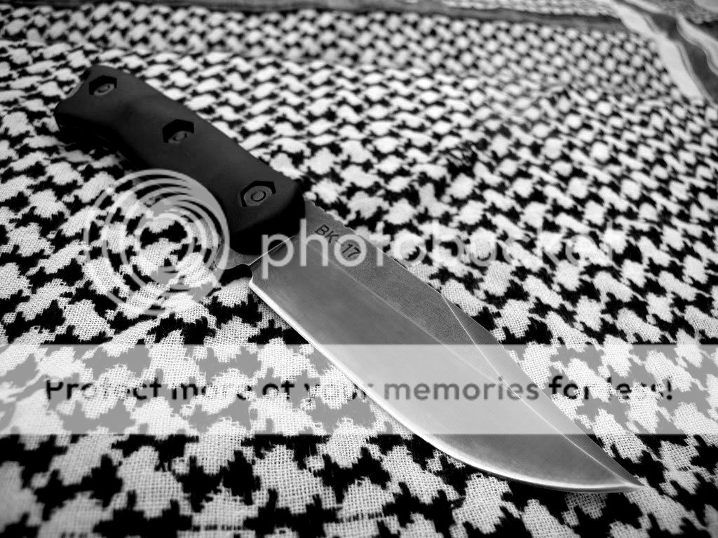 BK17blued3bw.jpg