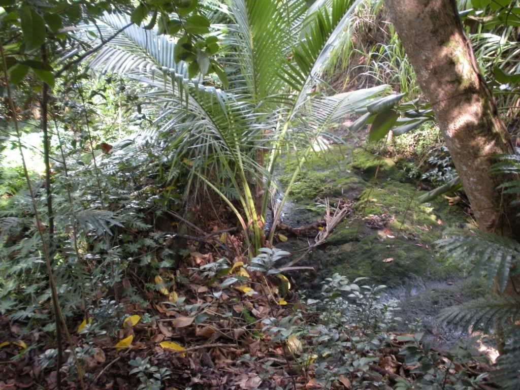 DSCN0728.jpg