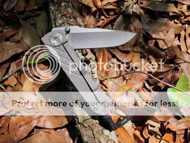 CRK2.jpg