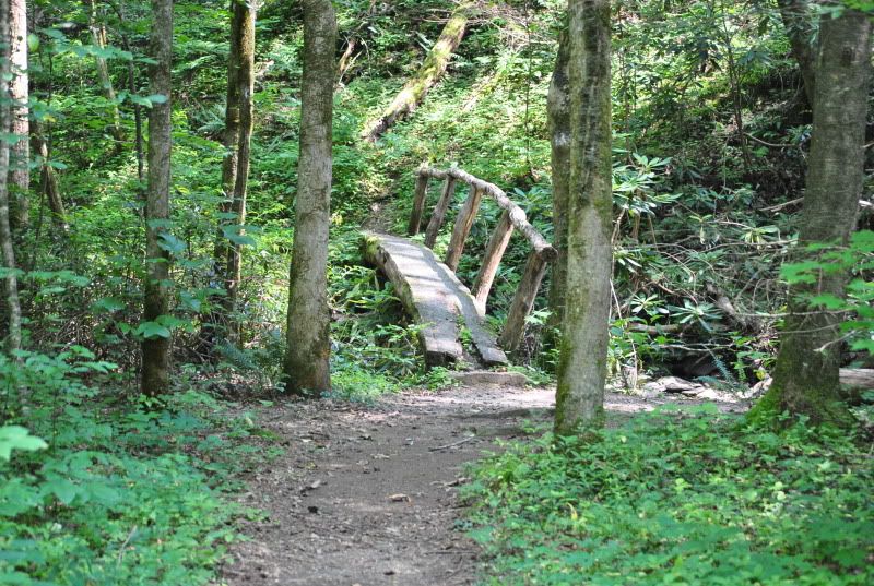 DSC_3955.jpg