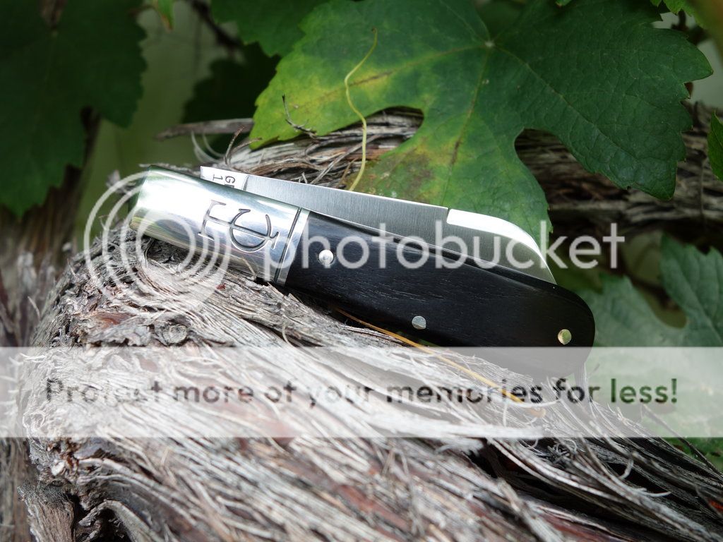 Barlow_28_small_zpsdf802136.jpg