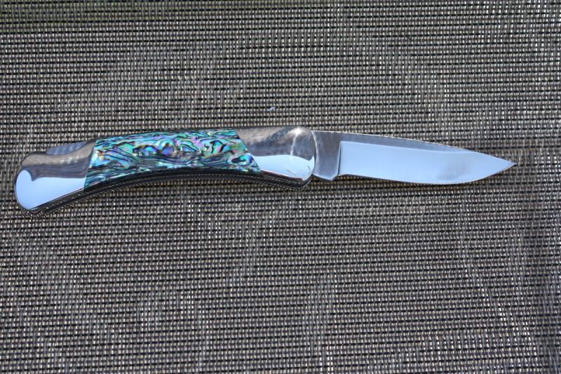 Buck500DukeAbalone2.jpg