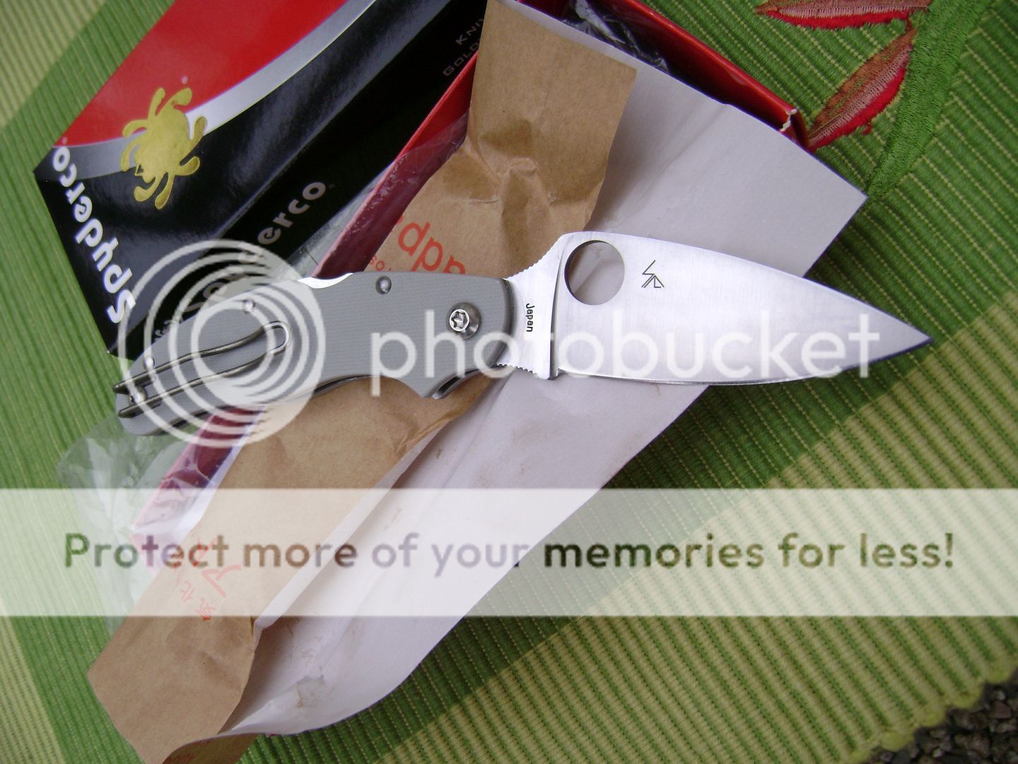 DSC09513_zpsdcba0ea1.jpg