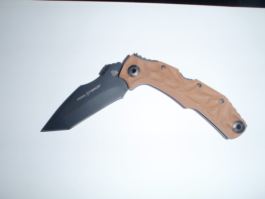 PC290154.jpg