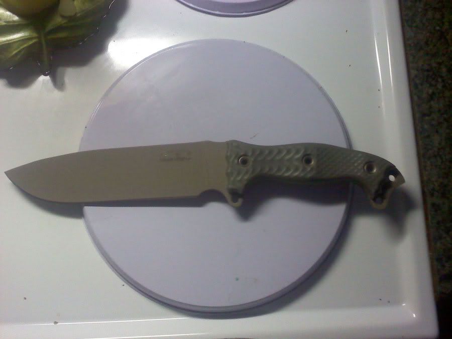 fsh1.jpg
