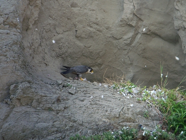 2007.05.18.R0011389.JPG