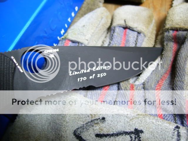 100_1182.jpg