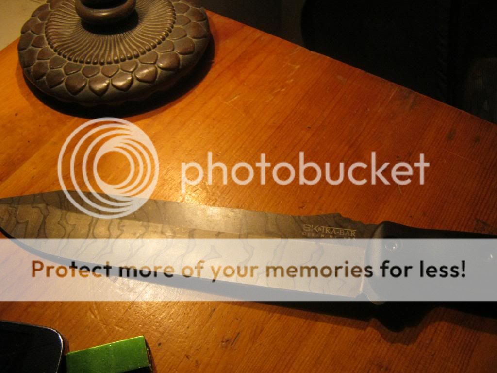 BECKER001_zps5038d59c.jpg