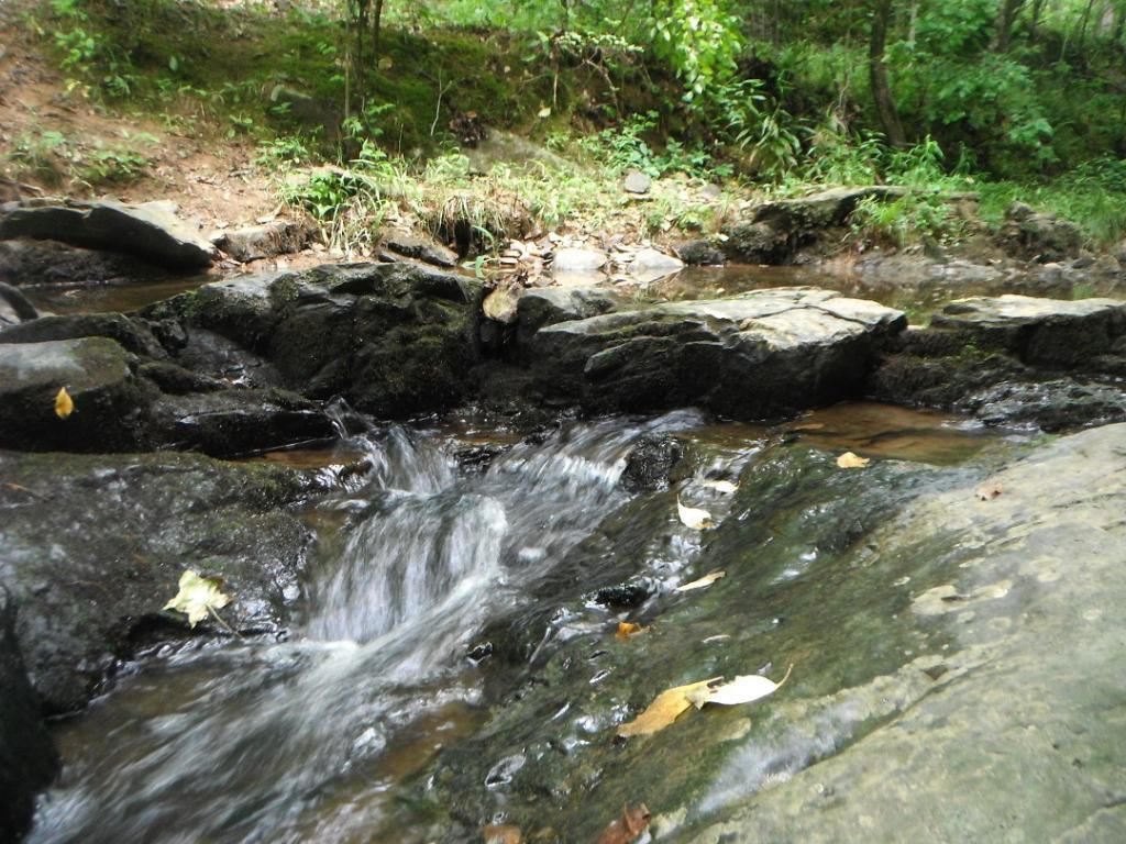 DSCF4225_zpsee5a86f1.jpg