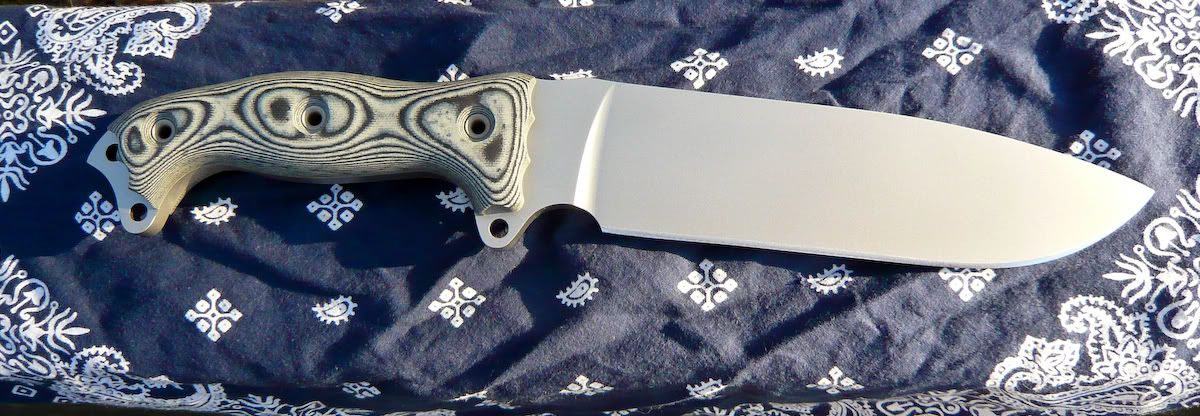 Busse_FSHFatty2.jpg