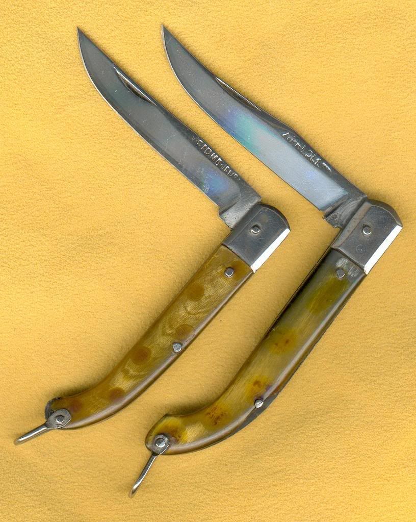 ItalianSpottedHorn.jpg